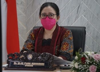 Puan Minta Pemerintah Kedepankan Diplomasi Damai di Intan Jaya