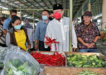 LaNyalla Kunjungi BUMD Puspa Agro Inginkan Jadi Hub di Bidang Pangan di Jatim