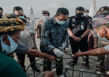 Mahyudin Dorong Pemulihan Pariwisata dan Konservasi Karang Hias di Bali