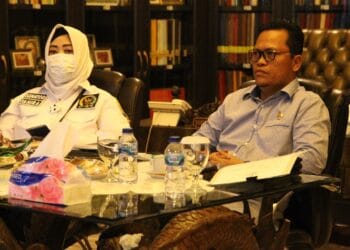 DPD RI Beri Keterangan Perkara Nomor 59, 60, dan 64/PUU-XVIII/2020 