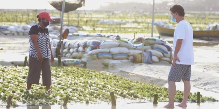 Pemkab Klungkung Jalin Kerjasama Dengan Swasta dan Koperasi