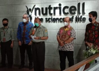 Kementan Ekspor 5 Ton Bahan Baku Obat ke Jerman