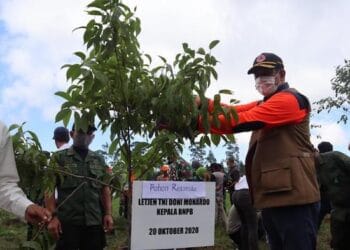 Antispasi Ancaman La Nina, Doni Monardo: Mitigasi Nonstruktural Paling Penting