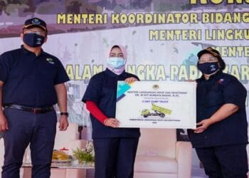 Padat Karya Penanaman Mangrove untuk Pulihkan Ekonomi Nasional