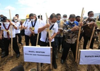 Wamendes Budi Arie Tanam Padi Organik di Wajo, Sulawesi Selatan