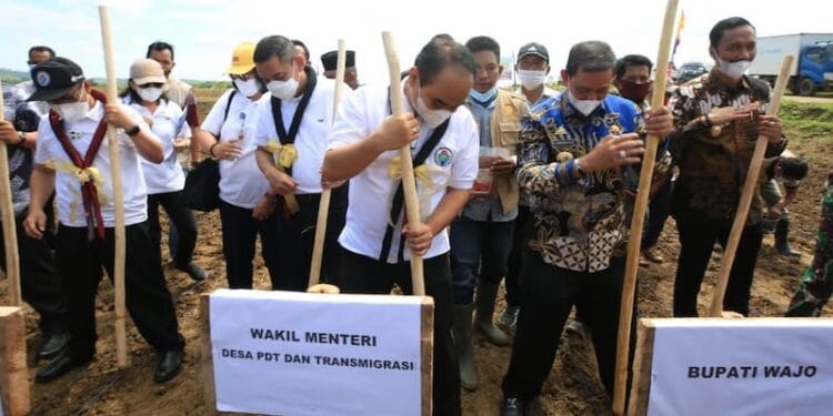 Wamendes Budi Arie Tanam Padi Organik di Wajo, Sulawesi Selatan