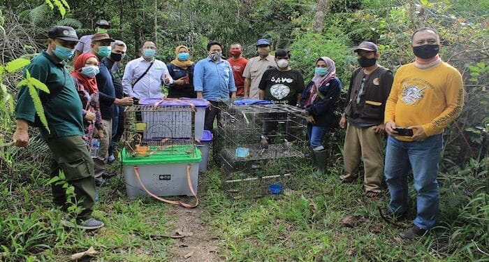 BBKSDA Sumatera Utara Lepasliarkan 18 Satwa Dilindungi di TWA Danau Sicike Cike