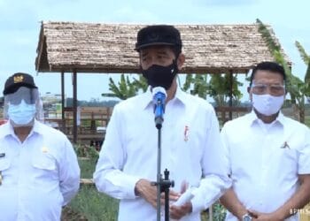 Kunjungi Food Estate Kalteng, Jokowi Puji Penerapan Teknologi Modern