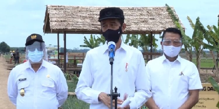 Kunjungi Food Estate Kalteng, Jokowi Puji Penerapan Teknologi Modern