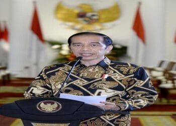 Presiden Apresiasi Pengabdian, Perjuangan, dan Pengorbanan para Dokter