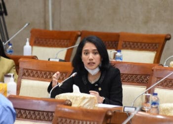 DPR Dorong Pemulihan UMKM Jangka Panjang