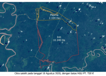 KORINDO Group Menjawab : ‘Ini Tuduhan yang Serius’ (BBC Indonesia)