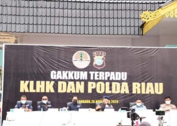 Menteri LHK Ungkap Jaringan Perusak Hutan di Riau