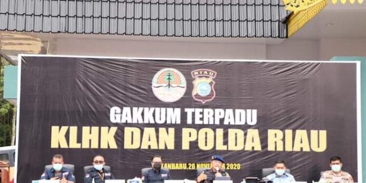 Menteri LHK Ungkap Jaringan Perusak Hutan di Riau