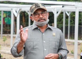 Dorong Pelaku Usaha Berinovasi dan Tidak Mudah Menyerah di Masa Pandemi