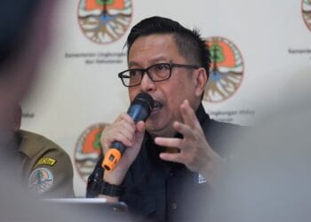 Investigasi Greenpeace Gunakan Video 7 Tahun Lalu (2013)