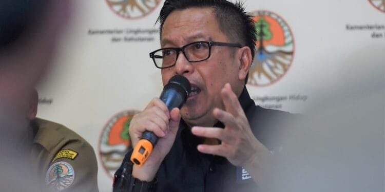 Investigasi Greenpeace Gunakan Video 7 Tahun Lalu (2013)