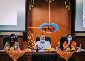 KunKer Komite IV DPD RI Soroti Implementasi Pengawasan BPKP Bali Atas Program PEN