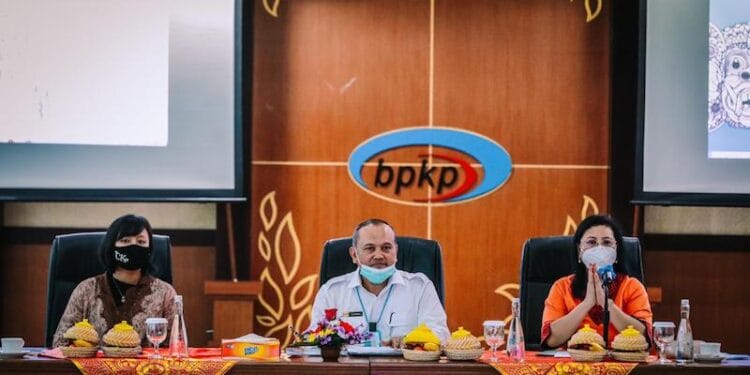 KunKer Komite IV DPD RI Soroti Implementasi Pengawasan BPKP Bali Atas Program PEN