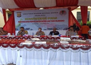 Pelaku Perdagangan Ilegal Satwa Dilindungi Senilai Rp 6,3 Milyar di Aceh Berhasil Diringkus Operasi Gabungan