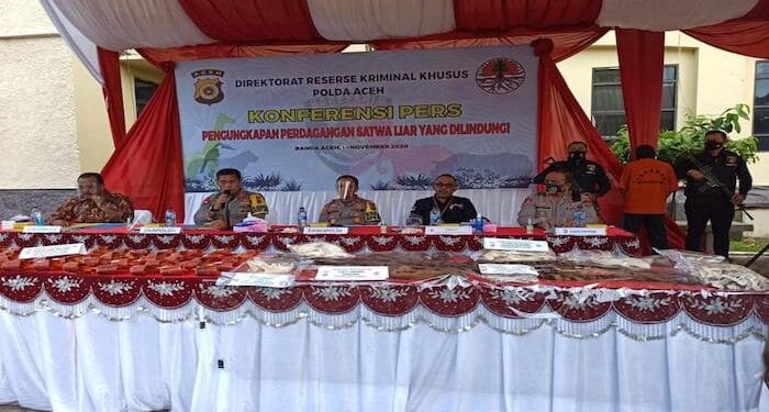 Pelaku Perdagangan Ilegal Satwa Dilindungi Senilai Rp 6,3 Milyar di Aceh Berhasil Diringkus Operasi Gabungan