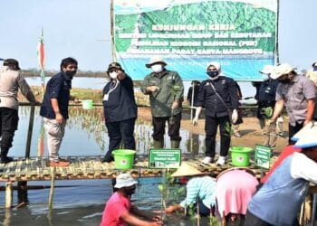 Menteri Siti Nurbaya Cek Langsung Progres PKPM di Kabupaten Serang