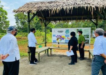 Presiden Tinjau Lokasi Pembangunan Pusat Perbenihan Rumpin Bogor