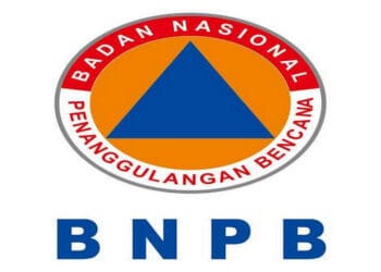 BNPB Ungkap Bencana Alam Sepanjang 2020 Didominasi Banjir