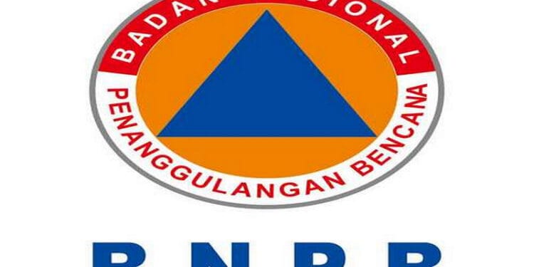 BNPB Ungkap Bencana Alam Sepanjang 2020 Didominasi Banjir