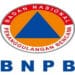 BNPB Ungkap Bencana Alam Sepanjang 2020 Didominasi Banjir