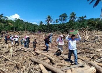 Hadapi Bencana Alam, Minta Pemerintah Lakukan Langkah Preventif