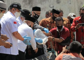 Ekspor Udang Berpotensi Pulihkan Ekonomi Nasional