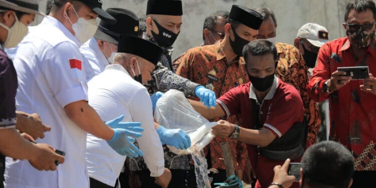 Ekspor Udang Berpotensi Pulihkan Ekonomi Nasional