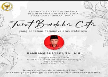 Lagi, Anggota DPR Meninggal karena Covid-19, Kali Ini Politisi PDIP Bambang Suryadi