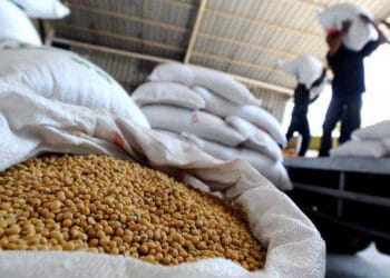 Kemendag dan Kementan akan Lakukan Operasi Pasar Stabilkan Harga Kedelai