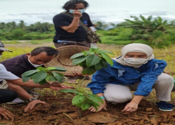 Partai Gelora Tanam 1 Juta Pohon di Desa Bagoang, Jasinga, Bogor