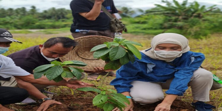 Partai Gelora Tanam 1 Juta Pohon di Desa Bagoang, Jasinga, Bogor