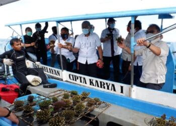 KPKHN Siap Jadi Garda Terdepan Jaga Ekosistem Laut