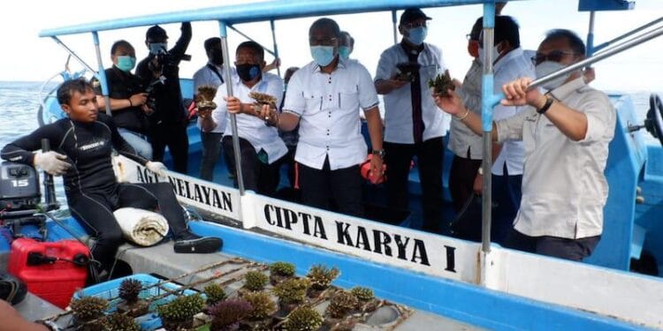 KPKHN Siap Jadi Garda Terdepan Jaga Ekosistem Laut