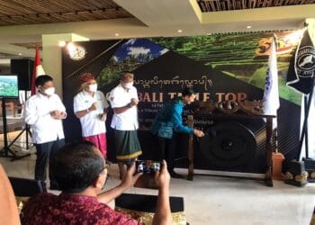 DPD ASITA71 Bali MOU dengan Stake Holder Kepariwisataan Bali