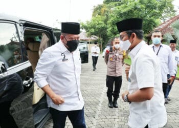 Bisa Bantu Ekonomi Masyarakat, Ketua DPD RI Dorong Pemanfaatan Porang