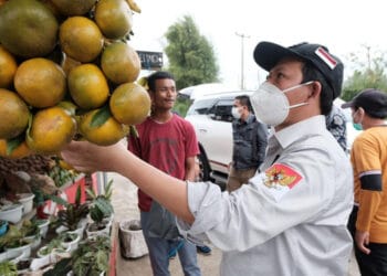 DPD RI Mengajak UMKM Formal kan Unit Bisnisnya