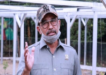 Oknum Polisi Jual Senjata Api ke KKB, DPD RI Minta Polri Usut Tuntas