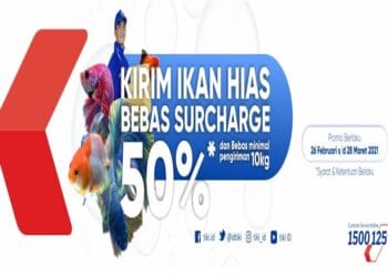 Promo Menarik Tiki untui Pengiriman Ikan Hias ke Seluruh Indonesia