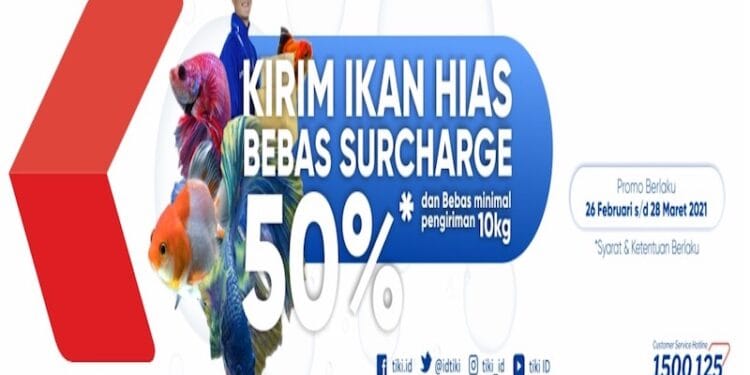 Promo Menarik Tiki untui Pengiriman Ikan Hias ke Seluruh Indonesia