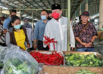 Harga Cabai Tak Terkendali, Ketua DPD RI Minta Pemerintah Buat Sistem Distribusi