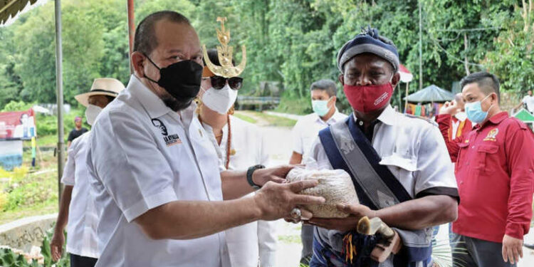 SBD Panen Raya, Ketua DPD RI Sebut Impor Beras bukan Solusi