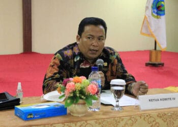 Komite IV DPD RI Dorong Pengawasan Khusus dan Optimalisasi Dana Otsus Papua