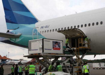 Menkes: Hari Ini Kami Mendatangkan 6 Juta Bluk Vaksin Covid-19 Sinovac