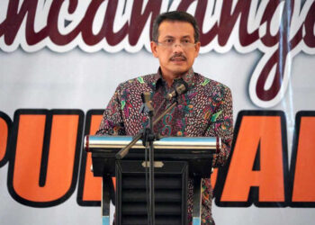 Pasca-Brexit, Indonesia Berhasil Amankan Konsesi Akses Pasar Singkong ke Uni Eropa di WTO